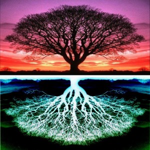 The 2 Economies That Function On This Earth
